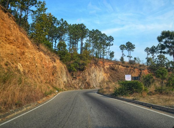 Les Berlines : Leur Impact Révolutionnaire sur l'Industrie Cinématographique